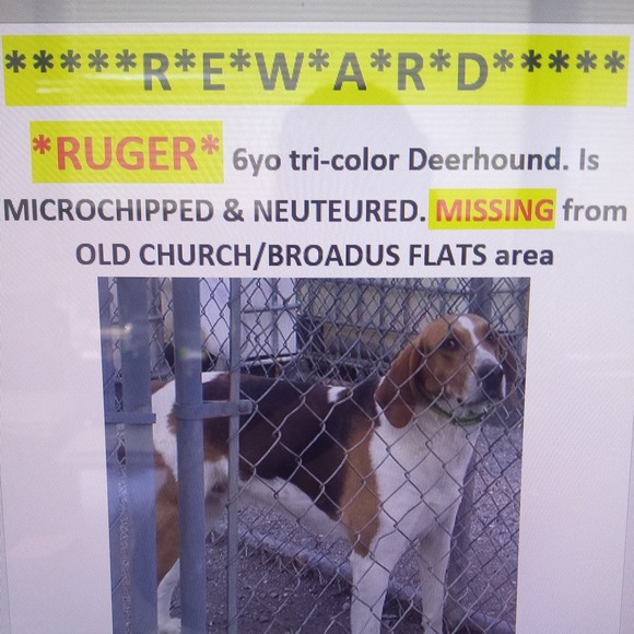 Meet your Posher, Kymberly - Picture 1 of 1